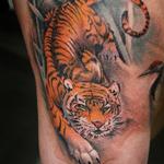 Tattoos - Crouching Tiger - 127209